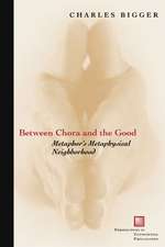 Between Chora and the Good – Metaphor`s Metaphysical Neighborhood