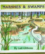 Marshes & Swamps