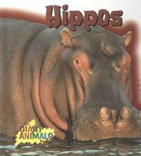 Hippos