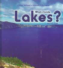 What's Inside Lakes?