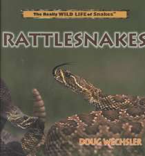 Rattlesnakes