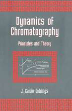 Dynamics of Chromatography: Principles and Theory