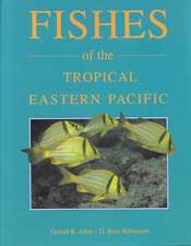 Allen: Fishes Tropical E. Pacific