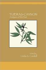 Tijeras Canyon: Analyses of the Past