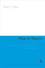 What is Theory?: Cultural Theory as Discourse and Dialogue