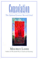 Consolation: The Spiritual Journey Beyond Grief