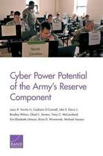 CYBER POWER POTENTIAL OF THE APB