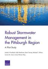 Robust Stormwater Management in the Pittsburgh Region