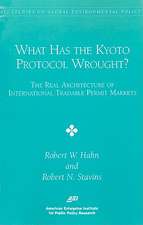 What Had the Kyoto Proctocol Wrought?: The Real Architecture of International Tradable Permit Markets