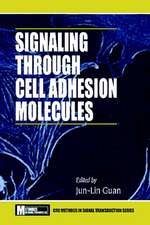 Signaling Through Cell Adhesion Molecules