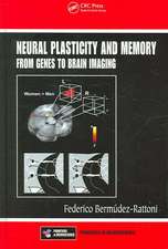 Neural Plasticity and Memory: From Genes to Brain Imaging