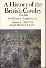 A History of the British Cavalry 1914-1919, Volume V: In Peace and in War