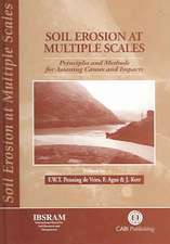 Soil Erosion at Multiple Scales – Principles and Methods for Assessing Causes and Impacts