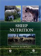 Sheep Nutrition