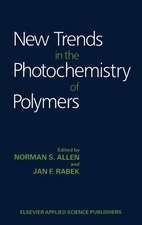 New Trends in the Photochemistry of Polymers