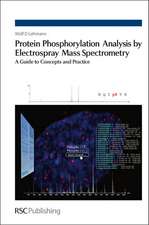 Protein Phosphorylation Analysis by Electrospray Mass Spectrometry: A Guide to Concepts and Practice