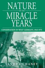 Nature of the Miracle Years