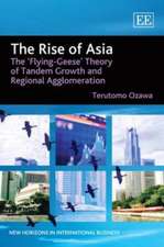 The Rise of Asia – The ′Flying–Geese′ Theory of Tandem Growth and Regional Agglomeration