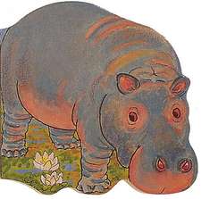 Hippo
