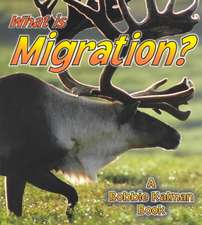 What Is Migration?