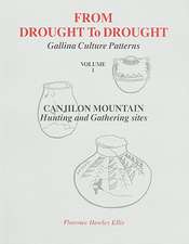 From Drought to Drought, Volume I: An Archaeological Record of Life Patterns as Developed by the Gallina Indians of North Central New Mexico (A.D. 105