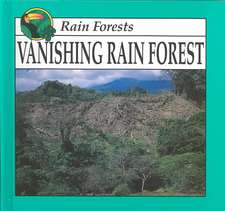 Vanishing Rain Forest