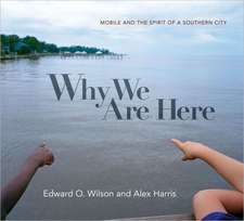 Why We Are Here – Mobile and the Spirit of a Southern City