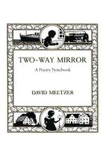 Two-Way Mirror: A Poetry Notebook