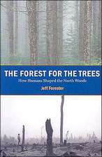 Forest for the Trees: How Humans Shaped the North Woods