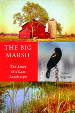 The Big Marsh