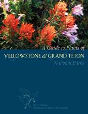 A Guide to Plants of Yellowstone and Grand Teton National Parks