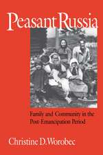 Peasant Russia: Family and Community in the Post-Emancipation Period