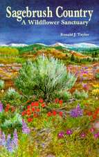 Sagebrush Country: A Wildflower Sanctuary