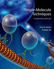 Single Molecule Techniques: A Laboratory Manual