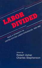 Labor Divided: Race and Ethnicity in United States Labor Struggles, 1835-1960