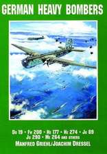 German Heavy Bombers Do 19, FW 200, He 177, He 274, Ju 89, Ju 290, Me 264 and Others: Russian Rocket Launchers