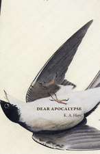 Dear Apocalypse