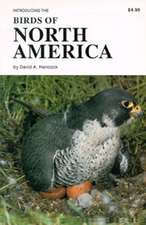 Birds of North America: Introducing the