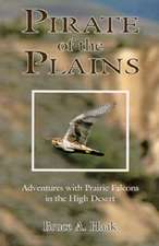 Pirate of the Plains: Adventures with Prairie Falcons in the High Desert