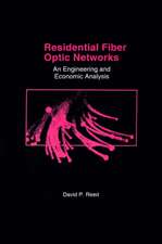 Residential Fiber Optic Networks: An Engineering and Economic Analysis