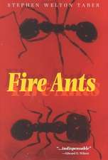 Fire Ants