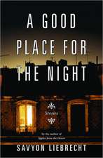 A Good Place for the Night – Stories