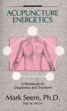 Acupuncture Energetics: A Workbook for Diagnostics and Treatment