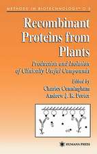 Recombinant Proteins from Plants