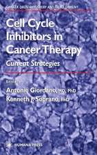 Cell Cycle Inhibitors in Cancer Therapy: Current Strategies