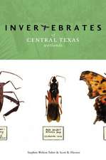 Invertebrates of Central Texas Wetlands