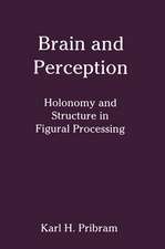 Brain and Perception: Holonomy and Structure in Figural Processing