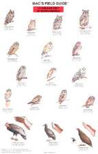 Mac's Field Guide to North American Birds of Prey