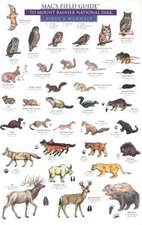 Mammals and Birds