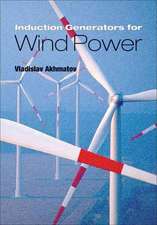 Induction Generators for Wind Power